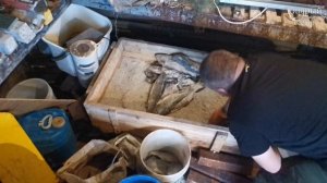 ЛУЧШИЙ Способ Засолки Рыбы (СУХОЙ ПОСОЛ)