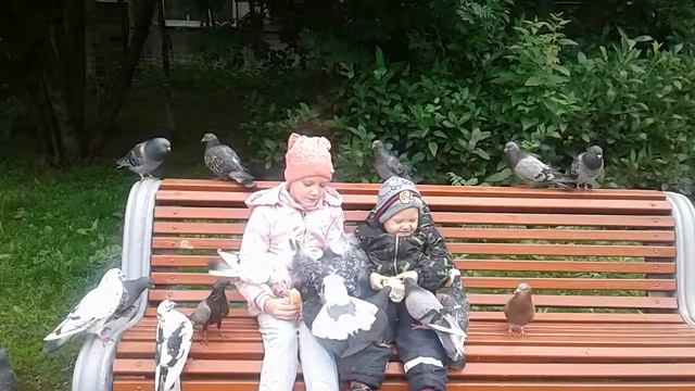 Вот как можно порадовать детей смотреть онлайн