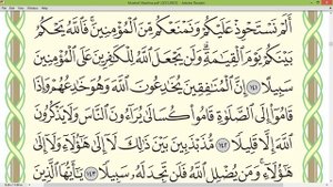 Шейх Айман Сувейд  сура Ан Ниса стр 101