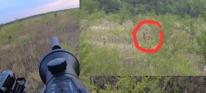 Охота на косулю. Манок.Выстрел по месту. 2022.mp4