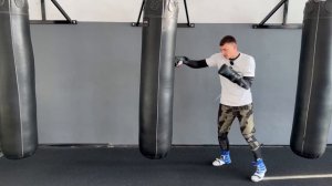 работа ПЕРЕДНЕЙ ноги, при ударе ЛЕВОЙ рукой по печени (для ЛЕВШИ)