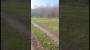 репетиции//концерт//поход на дольмены//Шамбала//Чёртов палец//грязевой вулкан//(9 месяцев назад)