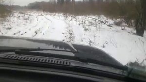 Чёрные копатели едут копать