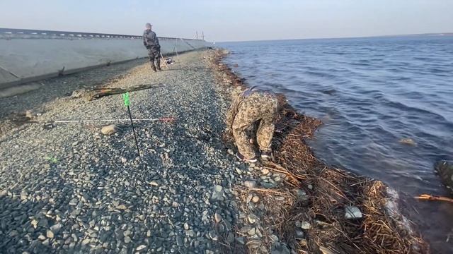 Открытие сезона летней рыбалки. Лабытнанги. Река Обь. Крокодилы