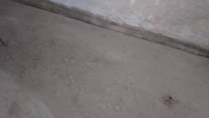 Стяжка пола грубым ровнителем