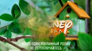 Disney Channel Russia. Adv. ident #6 (ver. 2) (Spring 2020)