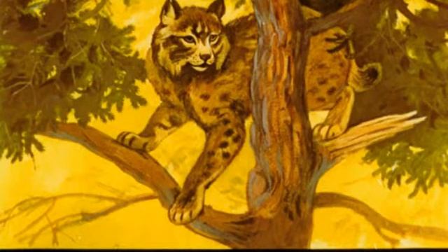 679. Звери наших лесов (1990 год) смотреть онлайн