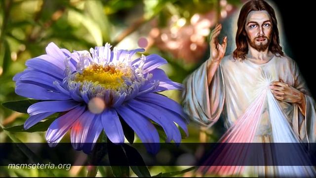 Стихи о Любви. Веры Кушнир: "Если мы не любим..." Христианские стихи смотреть онлайн