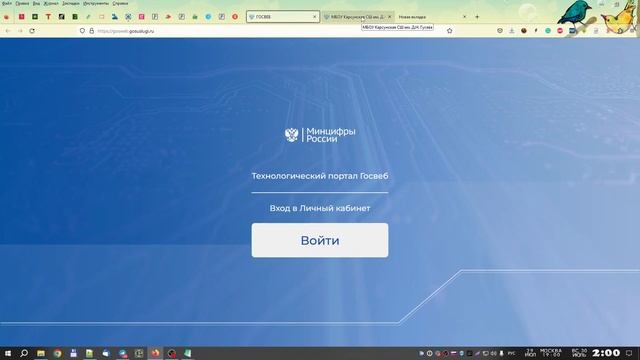Кратко и неофициально про Госвеб