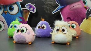 Angry Birds | Hatchlings K-pop