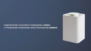 Подключение голосового помощника Алиса к управлению приборами через приложение Hommyn