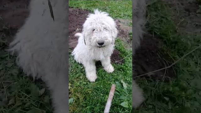 Бригада копателей🤪 оплата сдельная 🤪🤪