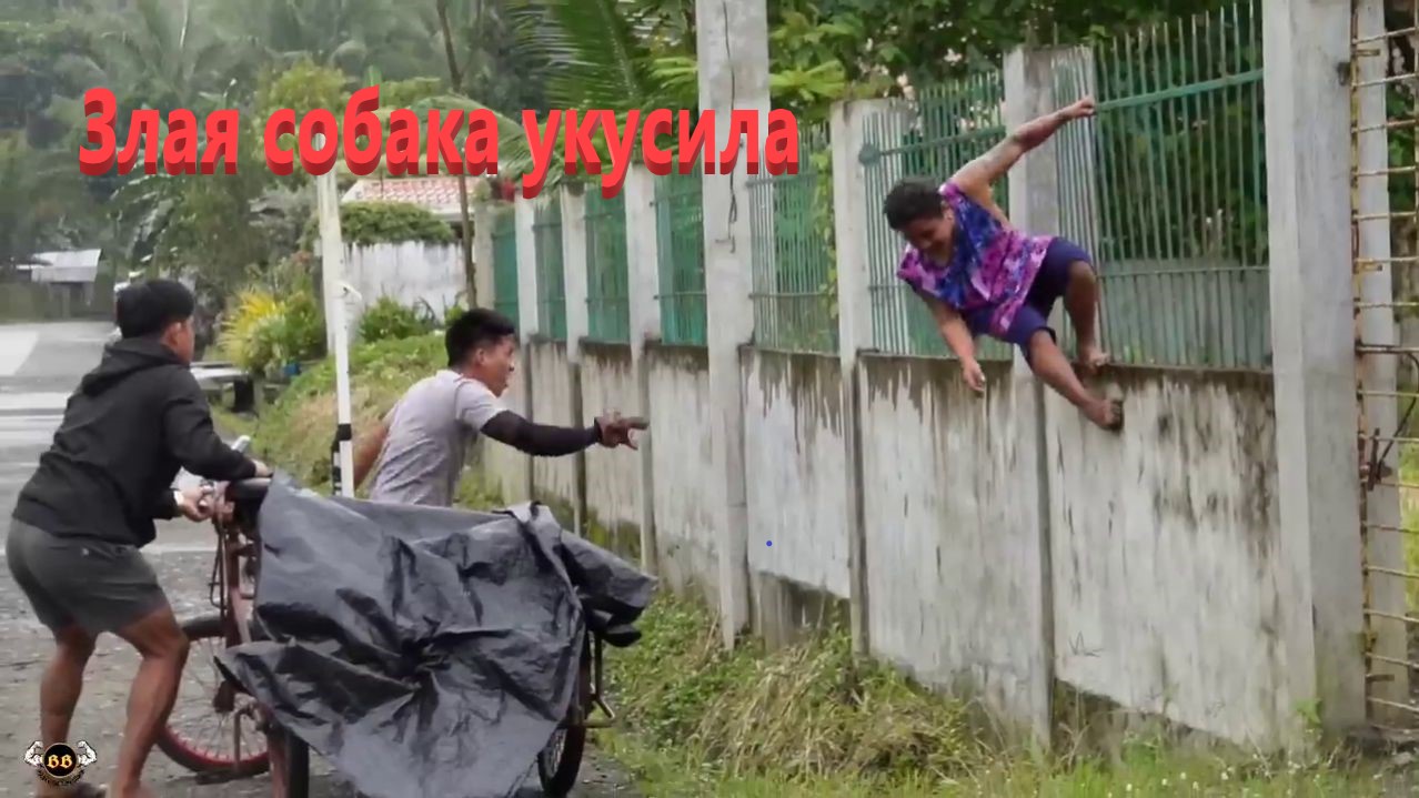 Злая собака укусила.Пранк.