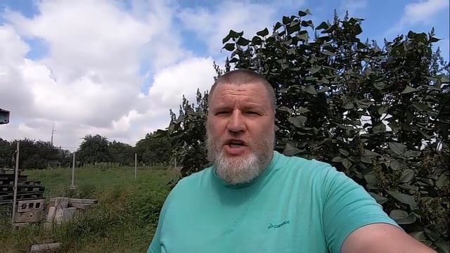 Предлагаю перейти на новый уровень общения смотреть онлайн