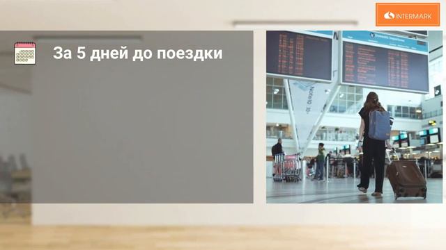 Перевозка Животных #Intermark Moving