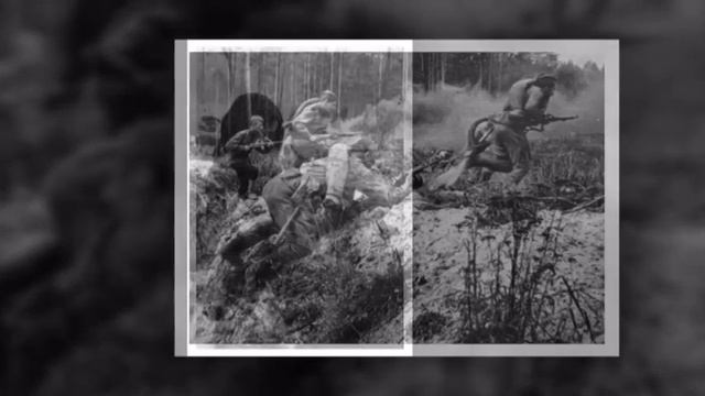 Акция Белые журавли смотреть онлайн