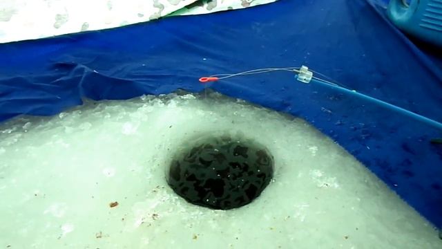 Зимняя рыбалка на Кременчугском водохранилище. Пронозовка. Часть 1. смотреть онлайн