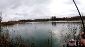 Мормышинг в Ноябре. А что еще нужно для счастья?