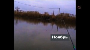 За ТАРАНЬЮ. Ноябрь. Сначала пытались ловить на канале в районе хутора Садки, потом в Бриньковской