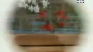 Каламбур Деревня дураков Великие герои