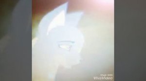 Клип Коты Воители! Бич! Песня называется Психушка!