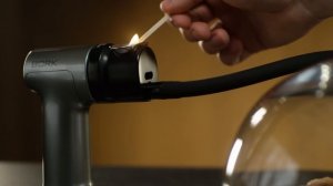 Коптильный пистолет BORK Z620: видеообзор и советы по использованию