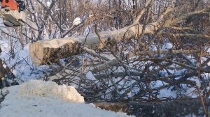 Доски из осины бензопилой!