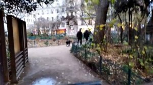 Париж. Пешая экскурсия и прогулка.