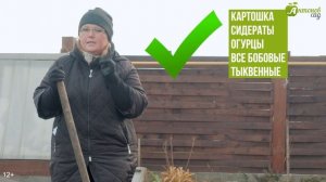 Как правильно посадить капусту под зиму? Подзимний посев капусты: сорта, сроки и подготовка