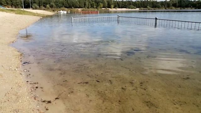 Неопреновые гидроноски 3мм из Китая. Подойдут ли для сплава? | Neoprene socks from Aliexpress revie смотреть онлайн