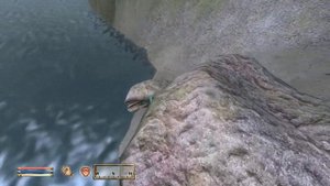 The Elder Scrolls IV: Oblivion - 1080p60 HD Walkthrough Part 176 - Fin Gleam