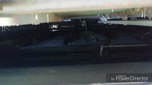Уборка рапса комбайном Палесье КЗС-1218!