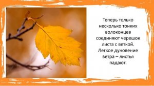 Почему осенью листопад