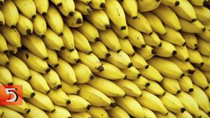 Интересно! Бананы,польза бананов.Факты и свойства.