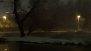 Ливневый снег.