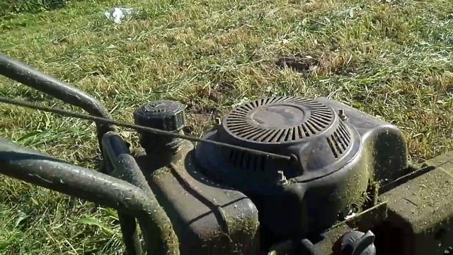 Косилка Champion LMH 5629 обзор после 4 месяцев эксплуатации. смотреть онлайн