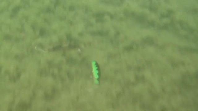 Воблера Флай Твичи минноу  Страйк про, Twitchy Fly Minnow Strike Pro приманки Ультралайт UltraLight