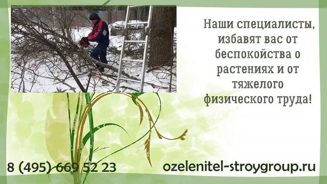 Уход за садом весной, летом, осенью, зимой смотреть онлайн