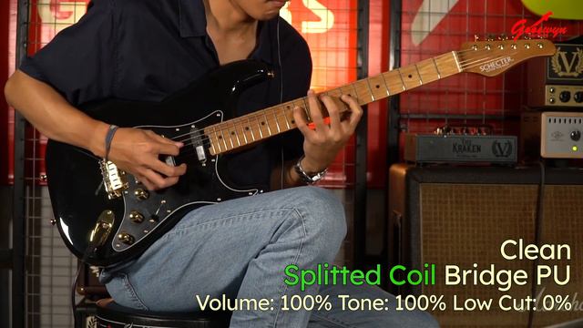 Schecter Japan PS-S-ST4-RM Gooswyn Guitars Specs | Review смотреть онлайн