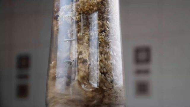 Овсяные шарики с финиками смотреть онлайн