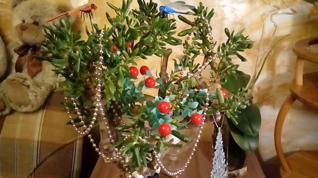 Денежное дерево. ХОББИТ, ГОЛЛУМ или КОРАЛЛ. Приметы. смотреть онлайн