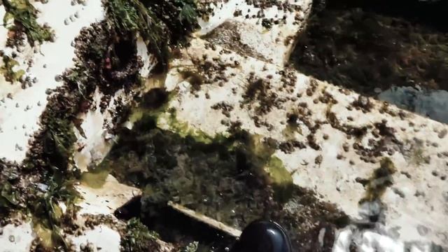 Raised A Boat From The Ocean Floor - Sink or Swim 89 смотреть онлайн