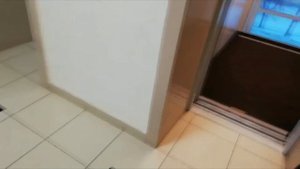 Панорамные лифты Witchel в ТЦ "Уют"! V=1m/c, Q=1000 кг (82)
