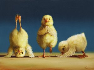 Цыплёнок Пи...