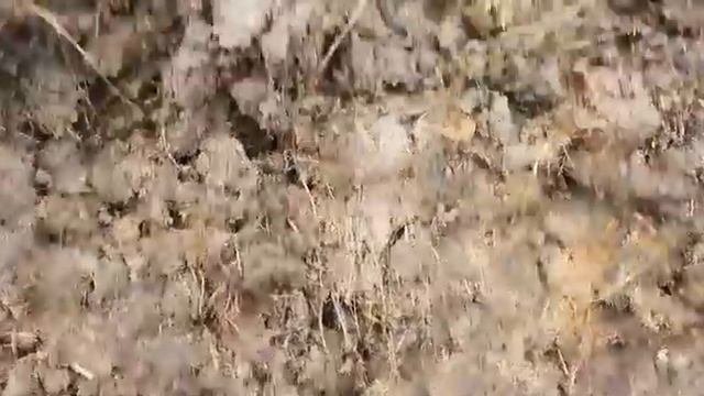 корова навоз наглядно\дачный элемент\ огородный спасатель\мешки навоза коровьего\Калининград навоз