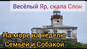 Веселый яр Перешеек поехали семьей и собакой на неделю в палатке на море видели Нерпу с маяк Балюзек