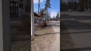 Мичуринское