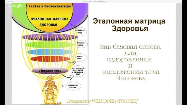 Эталонная матрица здоровья — живой ключ к здоровому телу