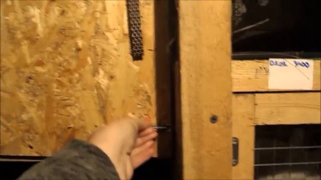 Знакомство с ЛПХ "КРОЛИКОМАНиЯ"