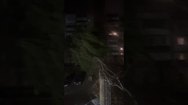 2022-11-14 смотреть онлайн